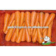 Gute Qualität frische Karotte / neue Ernte frischen Karottenlieferanten